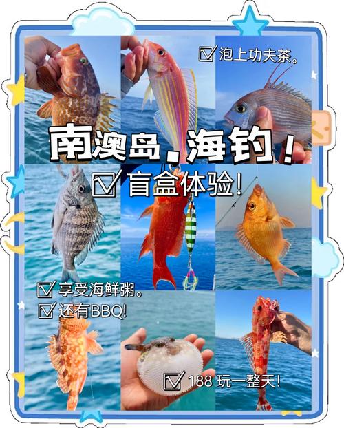 新澳2025天天正版资料和保护区里的疯狂垂钓与保护区里的疯狂垂钓是什么
