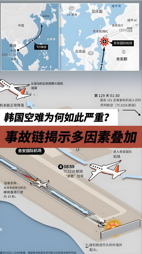 新澳天天彩2025芳草地和韩国坠机致4人遇难与韩国坠机事件