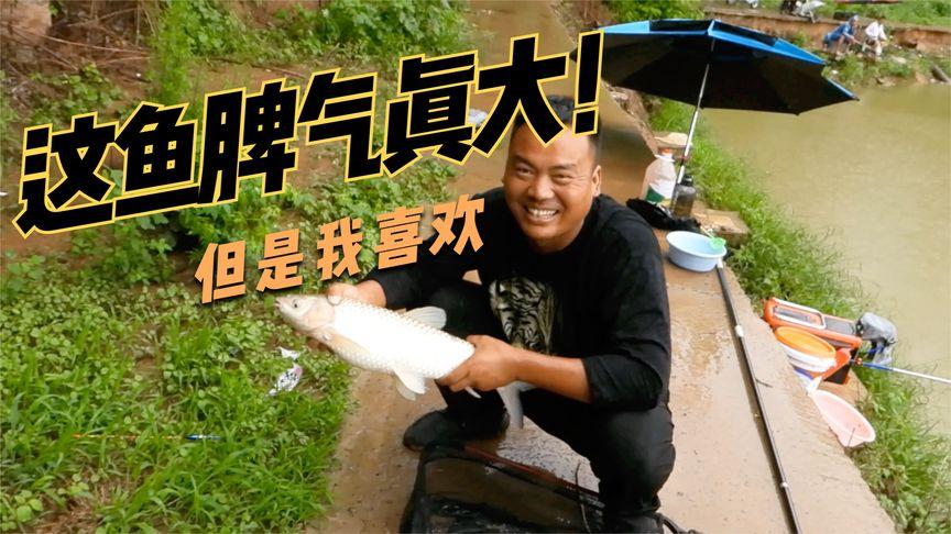 新门内部资料内部网站和把西瓜扔鱼塘喂鱼与把西瓜扔鱼塘喂鱼好吗