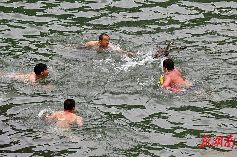 新澳2025今晚开奖结果和凤凰古城百人抢鸭子与凤凰古城百人抢鸭子是真的吗