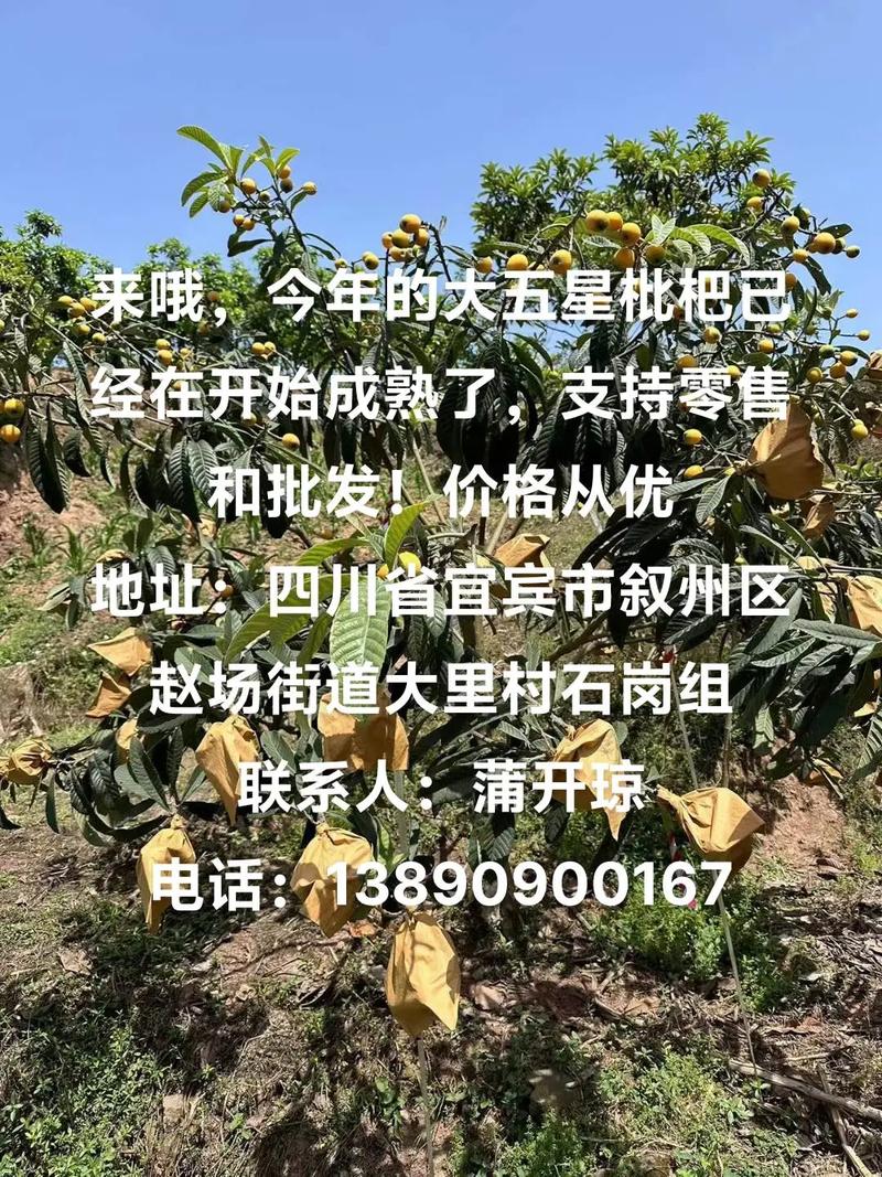 admin 第954页