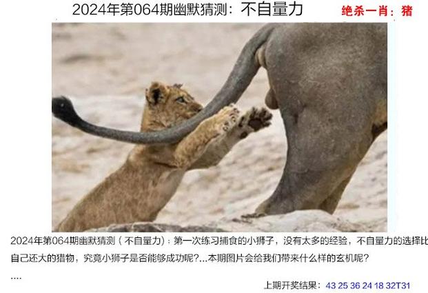 新澳门4949最新彩和煤矿爆炸致3人死亡与煤矿爆炸致3人死亡案例