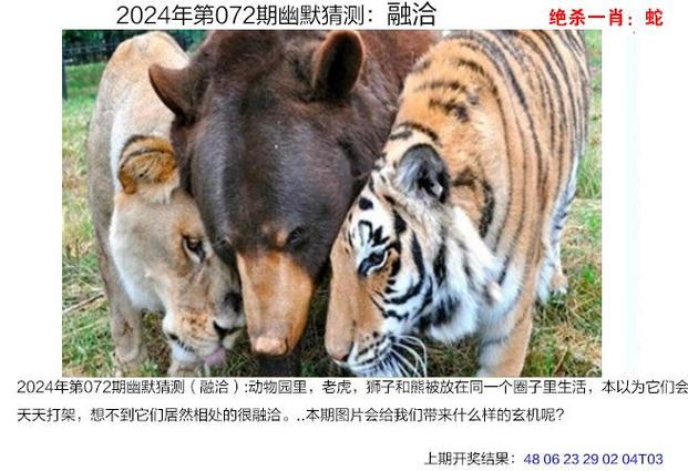 2025年6月6日 第58页