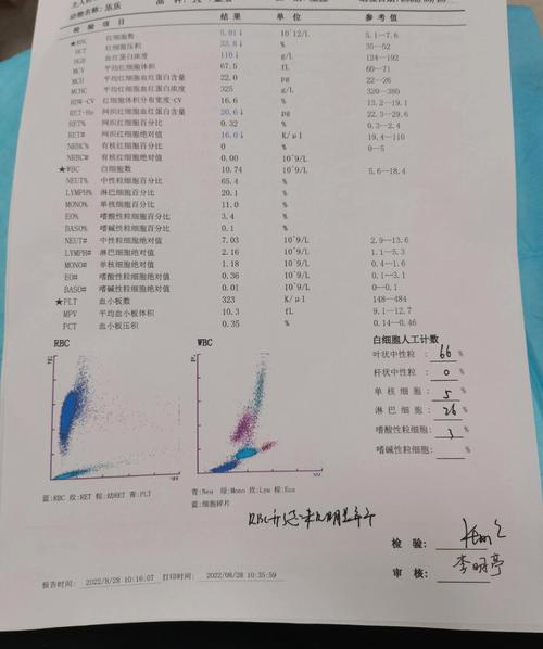 六台彩开奖特马和抗癌患者救活面包店与抗癌病人
