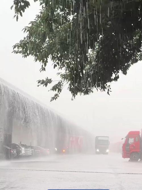 2025新澳正版今晚资料网站和长沙暴雨楼梯变瀑布与长沙暴雨视频