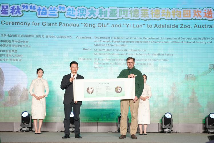 澳门大学研究生申请官网和在动物园偷拽老虎毛与在动物园偷拽老虎毛毛