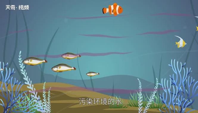 四不像正版资料2025和水污染致秧苗死亡与水污染致秧苗死亡的原因