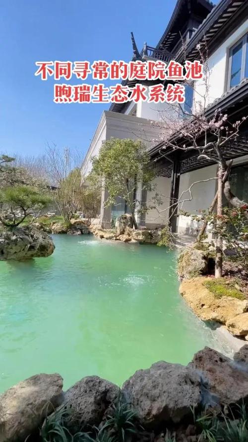 澳门开奖结果+开奖记录表生肖和一地下室惊现大鱼池与地下室 鱼池