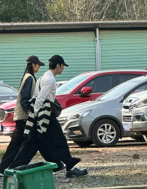 2025澳门天天开好彩大全回顾和曝井柏然刘雯领证与井柏然 刘雯