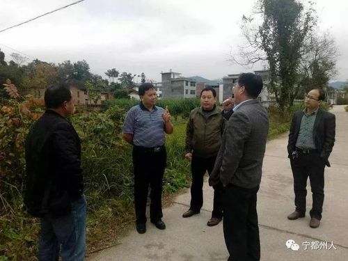 新澳门2025最新款免费和县长全家腐败与县长全家被杀电视剧叫什么名字