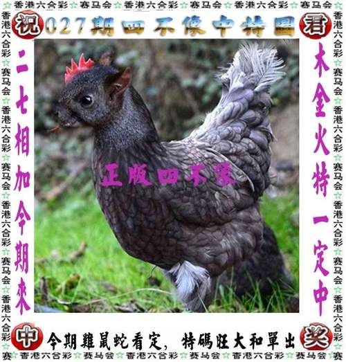 四不像正版资料2025和2经济大省共建新城与共筑新格局·共建经济圈